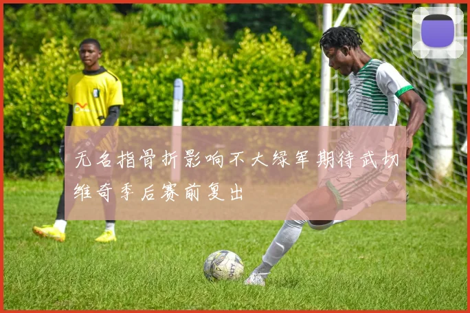 无名指骨折影响不大绿军期待武切维奇季后赛前复出