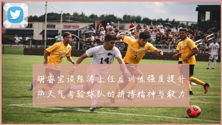 胡睿宝谈陈涛上任后训练强度提升热天气考验球队的拼搏精神与毅力